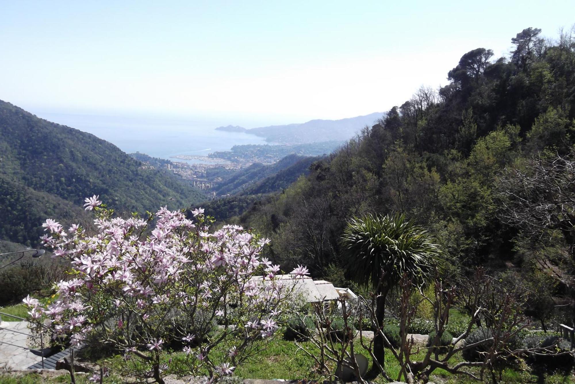 Apartmán Vista Portofino Rapallo Exteriér fotografie