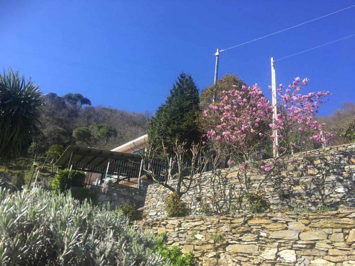 Apartmán Vista Portofino Rapallo Exteriér fotografie